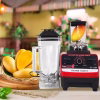 Silver Commercial Heavy Duty Blender 2in1 Double Jug